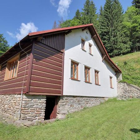 Chalupa Tomasek V Blizkosti Ski Arealu Dolni Dvur Exterior photo